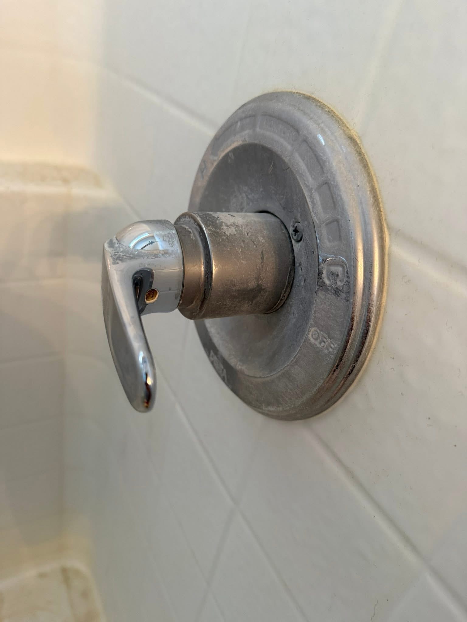 Shower Fixture — Before