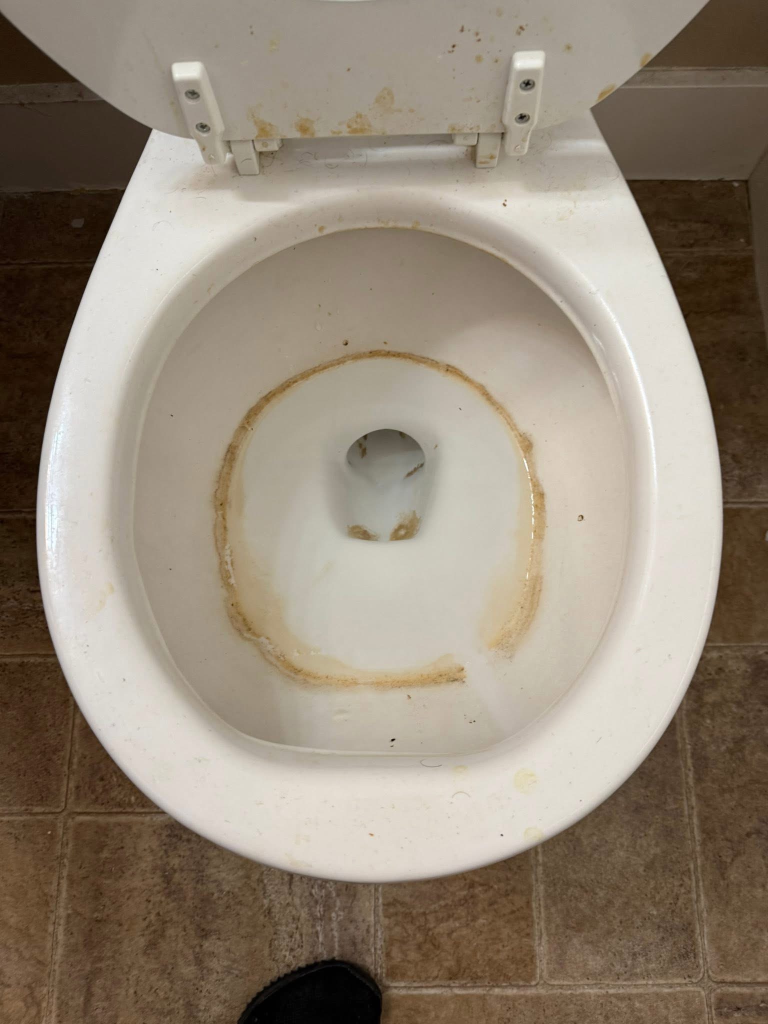 Toilet — Before